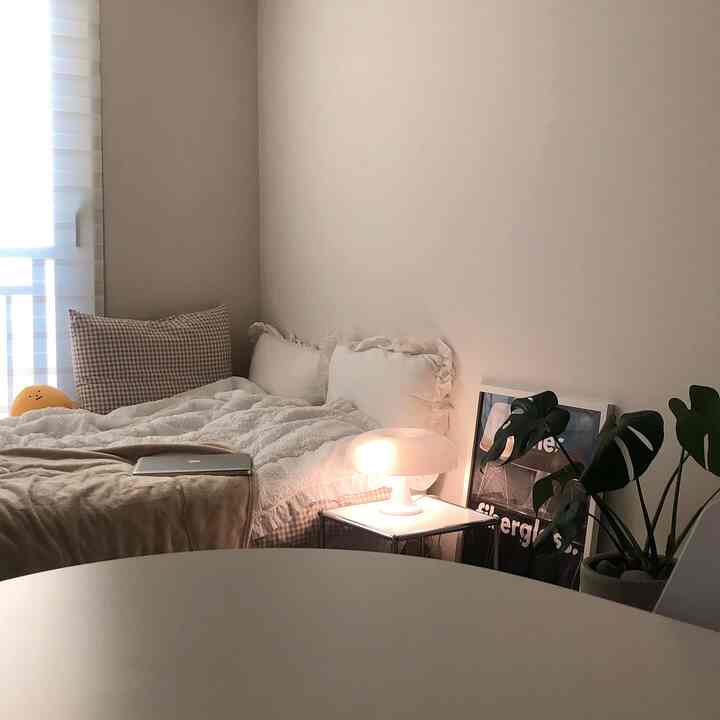 A cozy bedroom in white and beige tones featuring a plush bed with bedding, a nightstand with table lamp, and a green plant