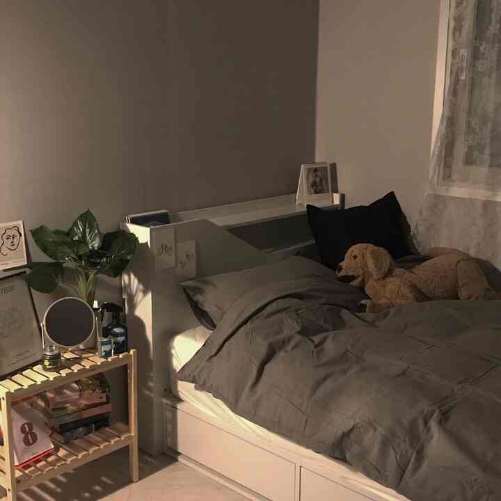 グレーのトーンの寝室、快適なベッドと木製の棚、犬のぬいぐるみと植物が配置された雰囲気のある空間。