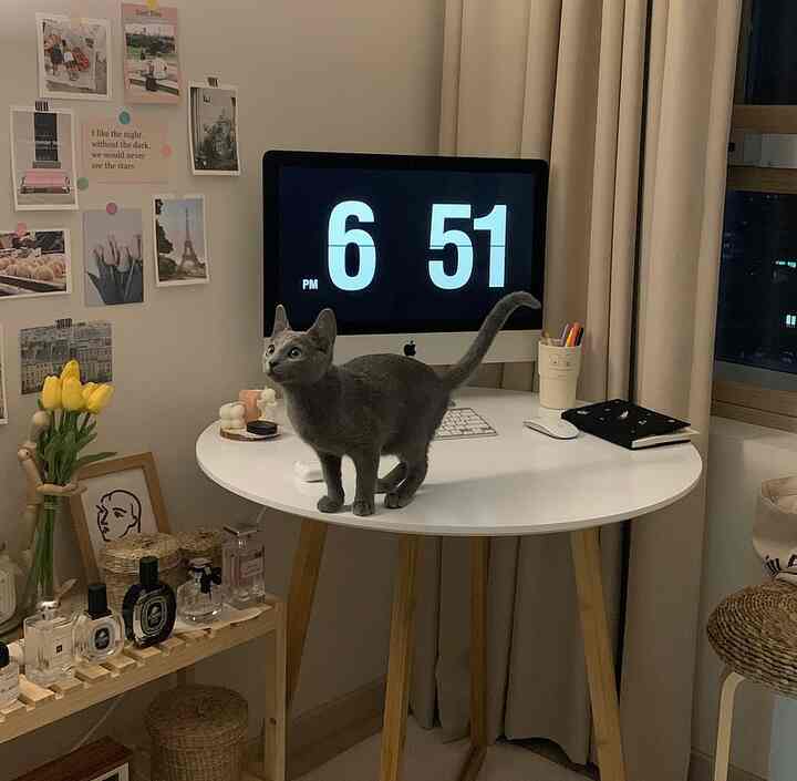 ナチュラルな色調と白色の円形デスク、パソコンが置かれた整った居心地の良いホームオフィス空間、テーブルの上に猫が立っている