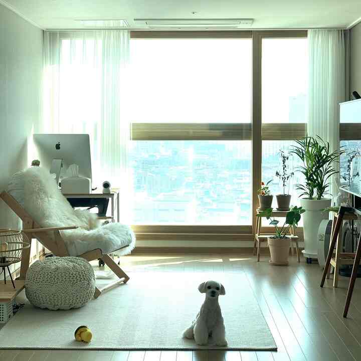 Modern living room in warm beige and white tones featuring home office setup, plants near window, and a small dog on the rug