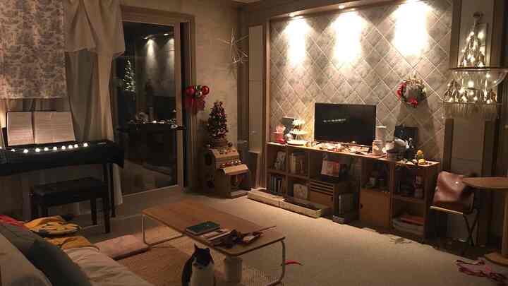 Warm wood tone and beige living room featuring Christmas decorations and a cat, creating a cozy atmosphere