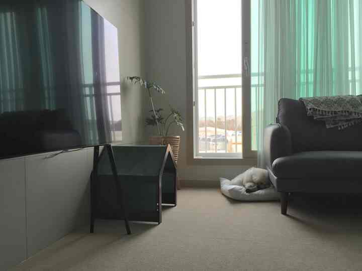 Bright white-toned living room with gray sofa, pet house, and a dog resting near the window, creating a cozy atmosphere