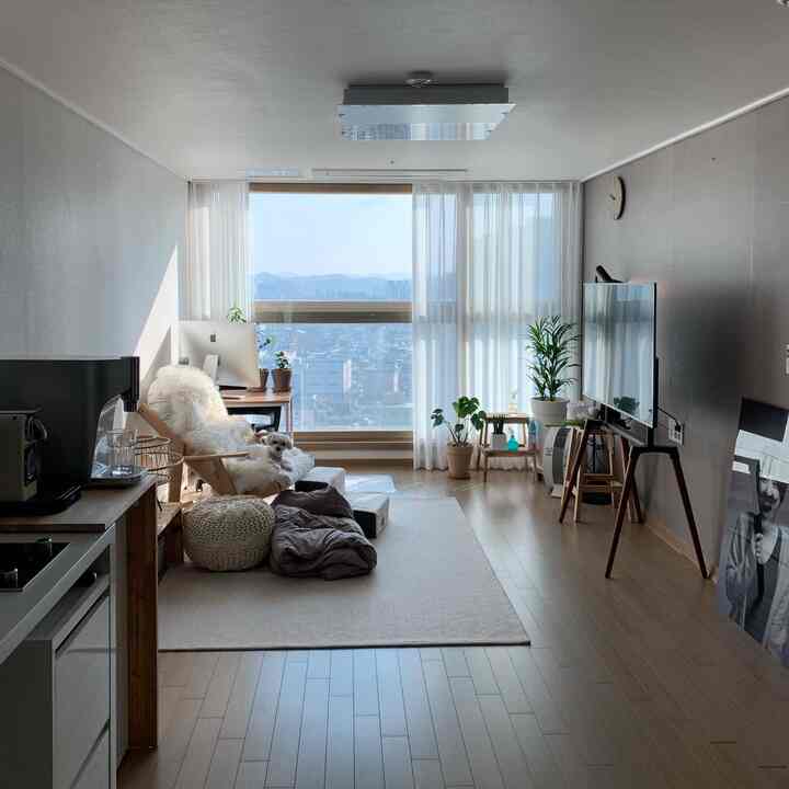 Wood tone and white living room featuring a computer desk and dog-friendly furniture in a natural modern setting