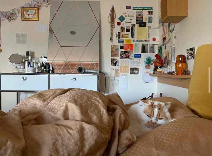Natural toned bedroom featuring brown bedspread and a cat, creating a cozy atmosphere