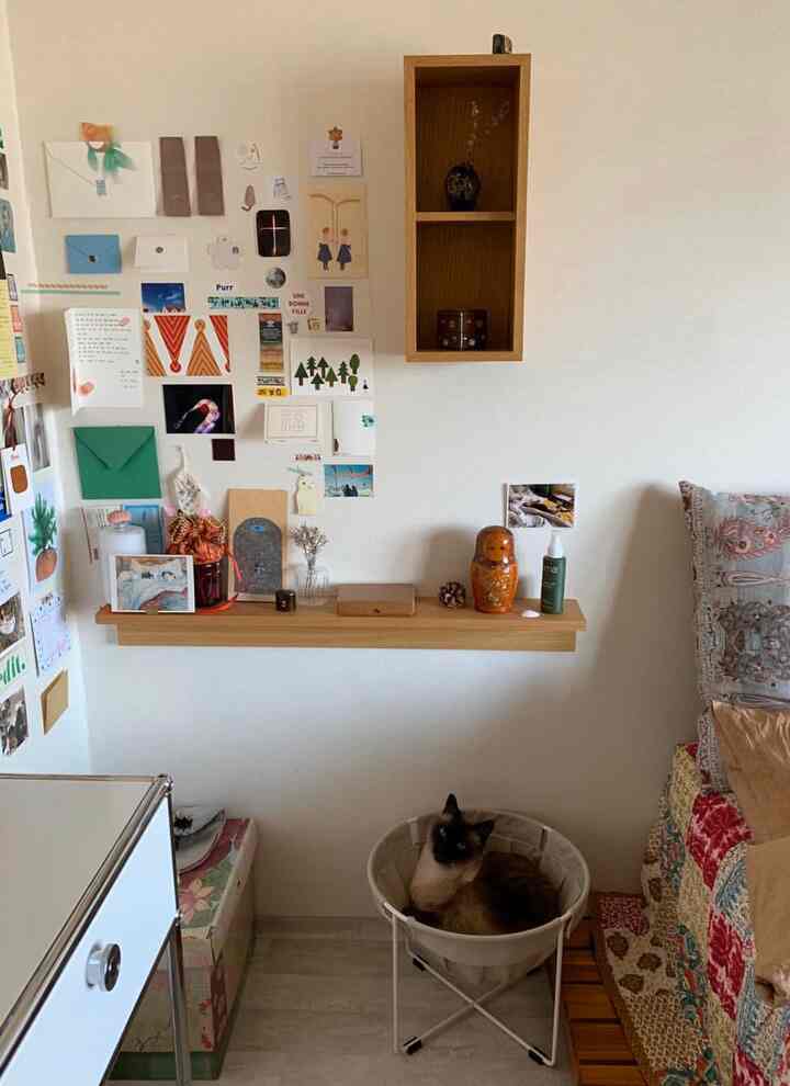 ナチュラルカラーのリビングコーナー、木製の棚と壁に飾られた写真、キャンバスバスケットに横たわるシャム猫がいる落ち着いた雰囲気のあるインテリア