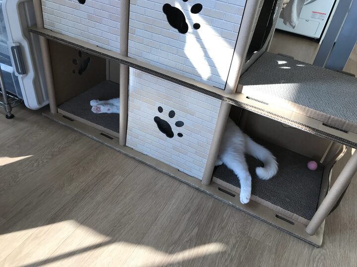 short form carousel card thumbnail