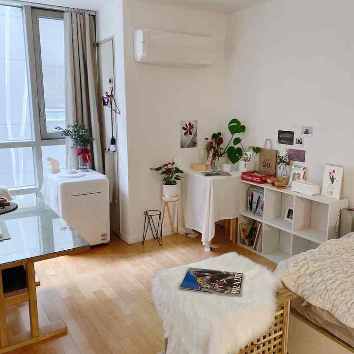 ナチュラルカラーと白のトーンのリビング、ダイニングテーブル、ベッド、ラグ、植物が配置された雰囲気のあるインテリア