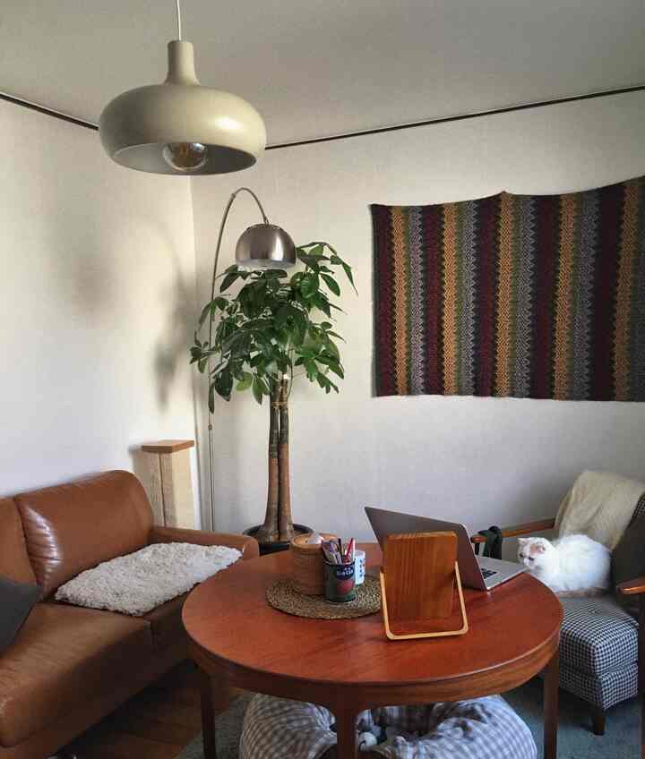 Living room with white walls and brown furniture, featuring a cat and plants in a natural setting