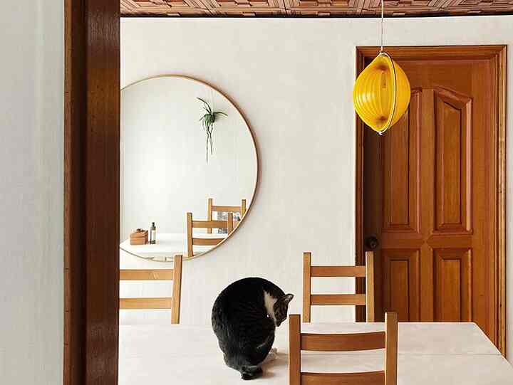 A white-walled living room dining area with wood furniture featuring a cat sitting on the table creating a warm atmosphere