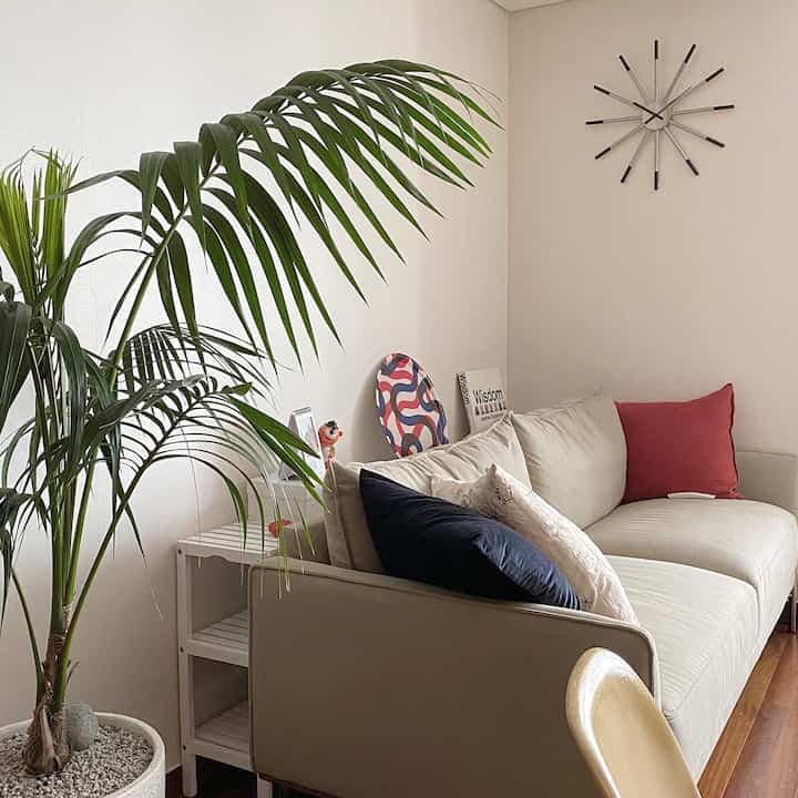 白と茶色のトーンのリビング、ベージュのソファとクッション、大きな緑の植物が配置された居心地の良いモダンな空間