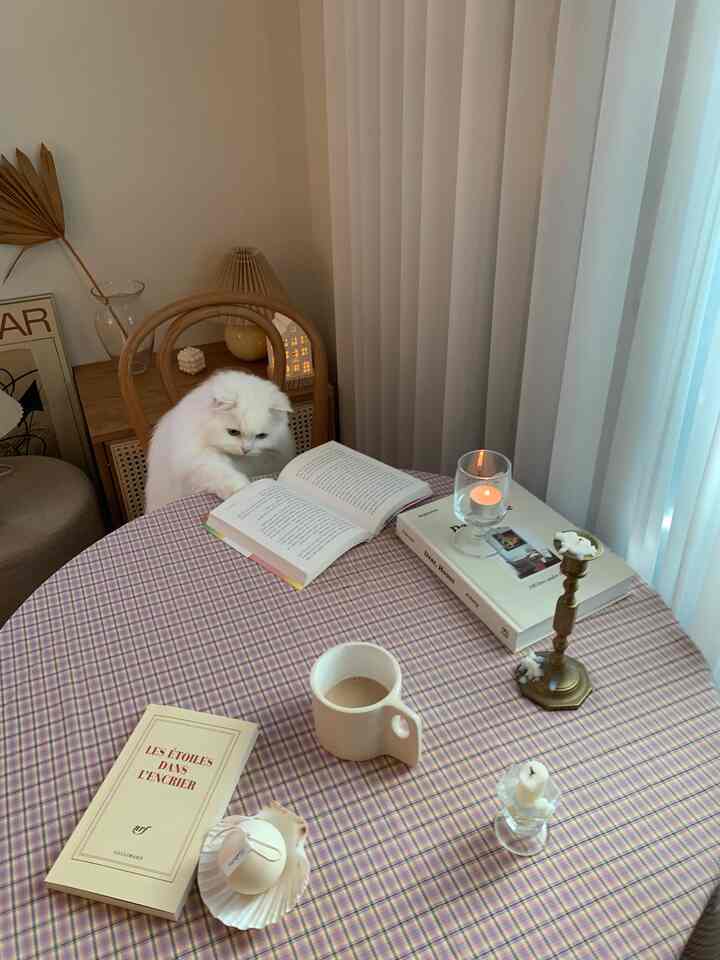 パールミニキャンドル+貝殻トレイ オブジェキャンドルを使ったコーディネート 1