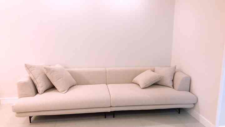 Natural color toned living room featuring a beige fabric 4-person simple sofa placed against a plain wall