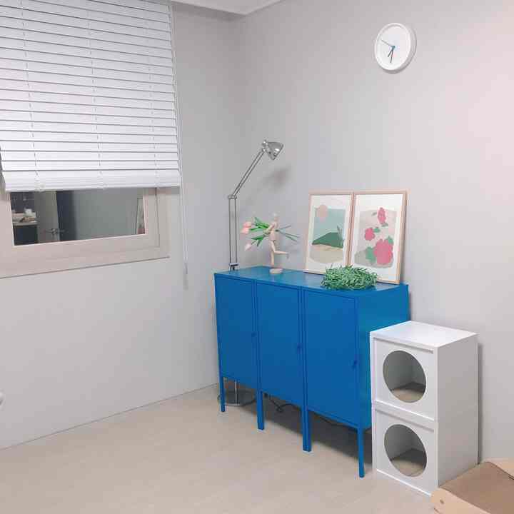 Minimal room with white walls and a blue metal storage cabinet, featuring a pet house in a clean, organized space