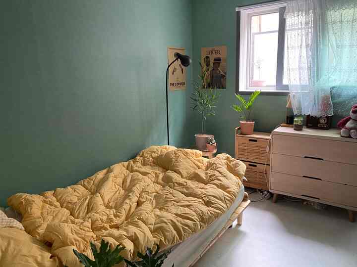 A cozy studio bedroom with green wallpaper and yellow duvet cover, featuring plants and lace curtains creating a spring atmosphere