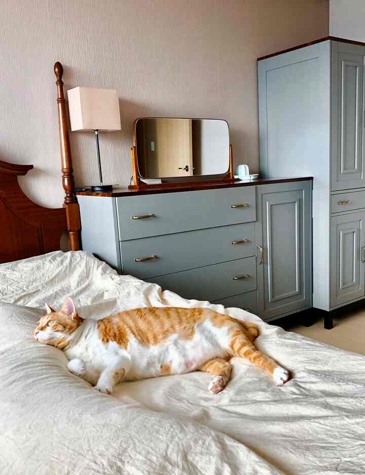ナチュラルなベージュとライトグレーの色調の寝室、ベッドの上に猫が寝そべり、グレーのワードローブとドレッサーが配置された印象的な空間