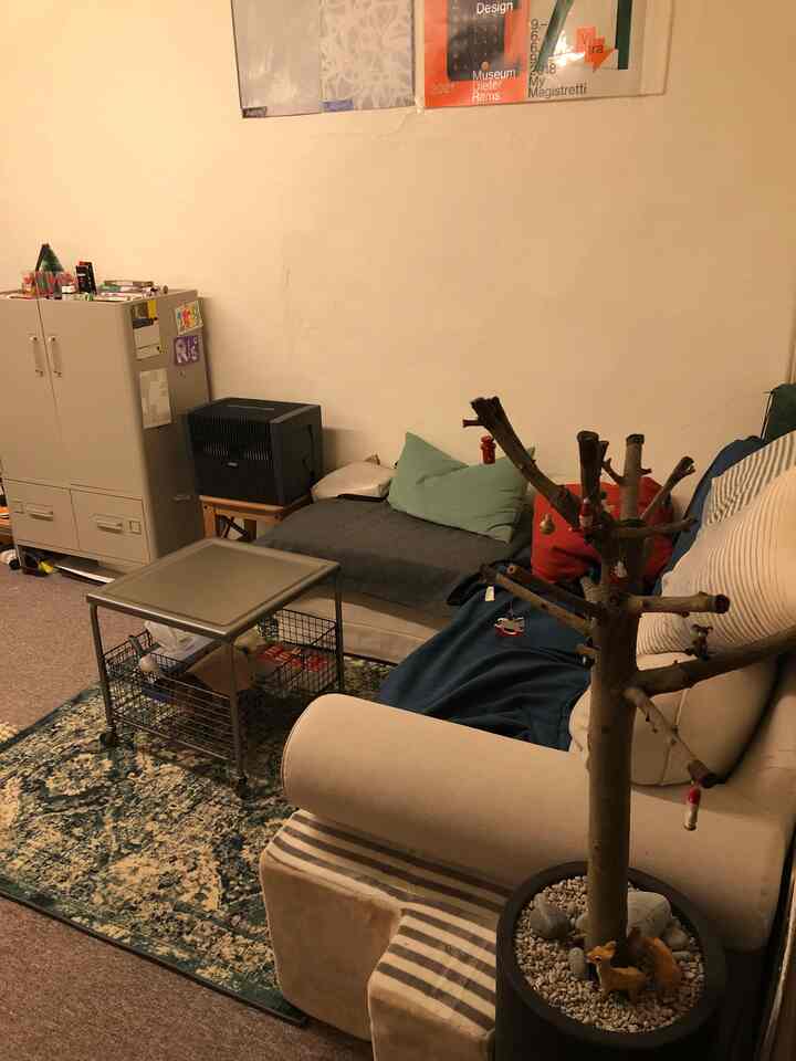 Beige natural-toned living room featuring sofa, side table, and a cat tree creating a cozy atmosphere