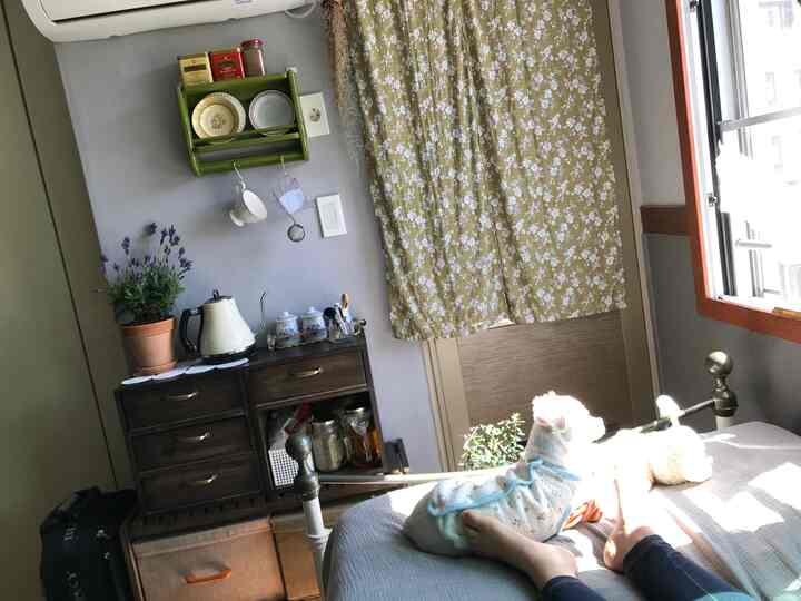 A cozy bedroom with gray walls and wooden storage cabinet, floral curtains by the window, and a small pet dog, featuring a retro vibe