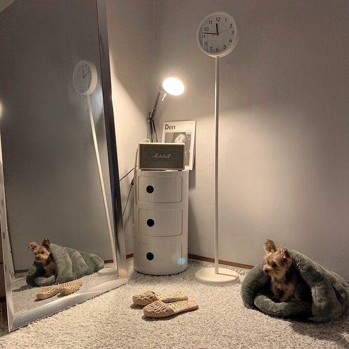 short form carousel card thumbnail