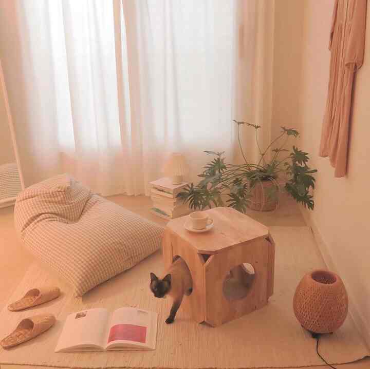 Cozy studio apartment in warm beige and wood tones featuring a central wooden cat hideout stool, rug, and natural elements