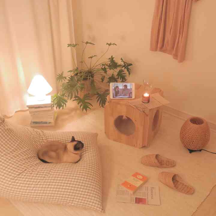 ベージュトーンのリビング、チェック柄のビーズクッションに猫が座り、木製のスツールにキャンドルとタブレットが置かれた居心地の良い空間