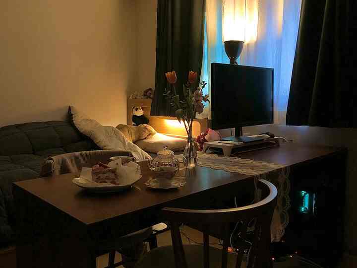 Wood tone and green studio apartment living room featuring monitor, sofa, dining table with table runner and flower vase creating a cozy atmosphere