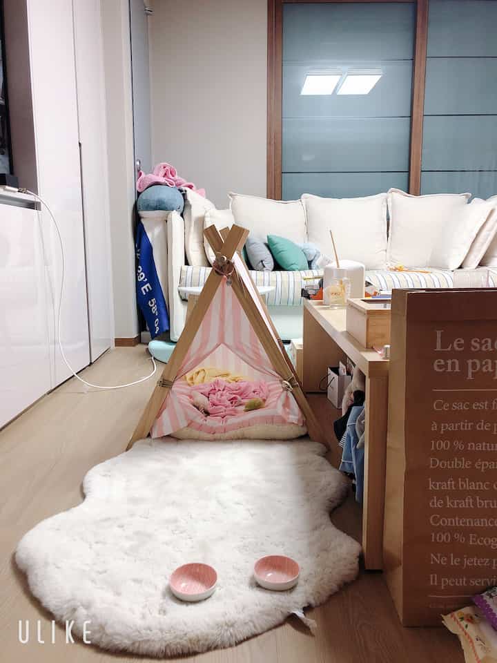 A cozy living room with white and wood tones featuring a pink striped pet house and fluffy white rug centrally placed for a dog-friendly space