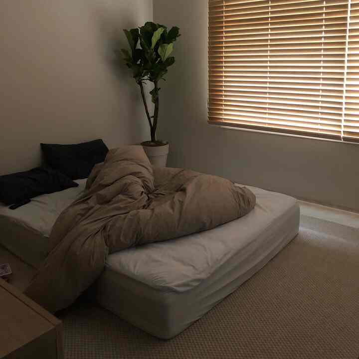 Beige toned bedroom with wood blinds and a large potted plant, featuring a natural and minimal atmosphere