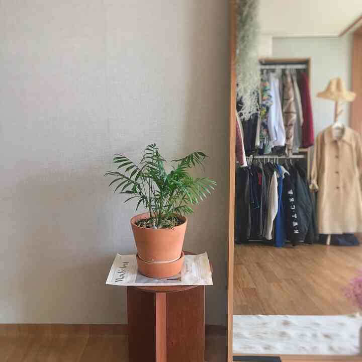 ナチュラルカラーのウォークインクローゼット、大きな全身鏡とテラコッタの鉢植えを載せたサイドテーブルが置かれた温かみのある雰囲気のインテリア