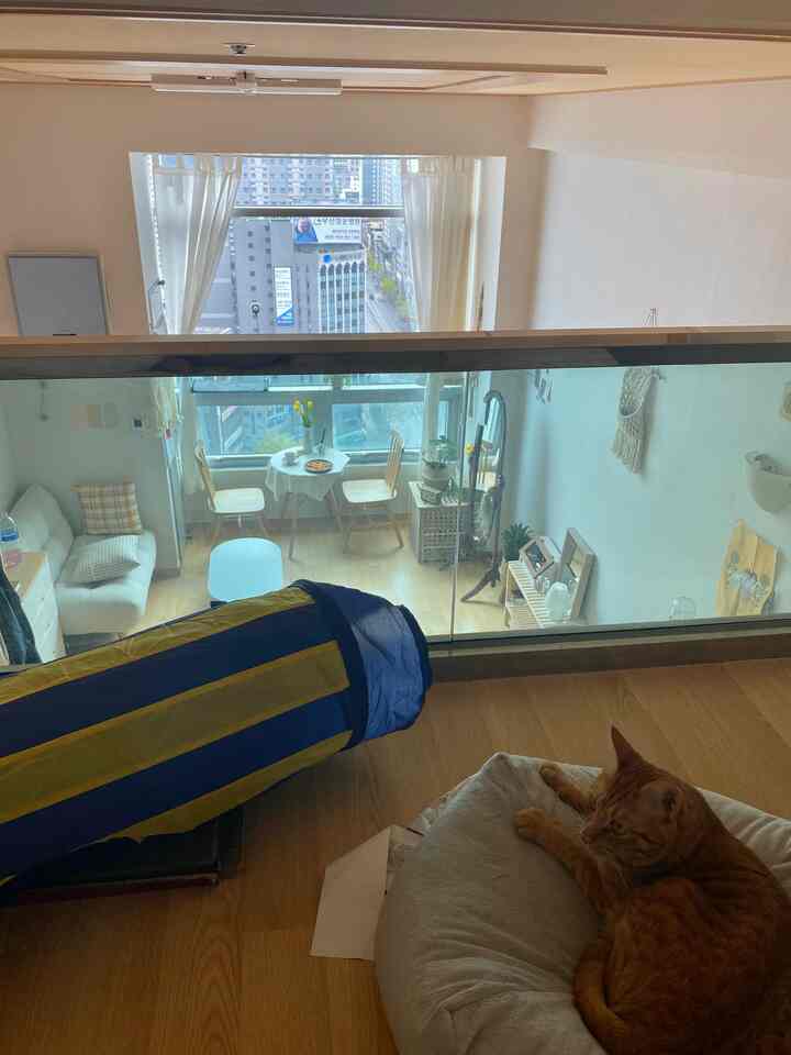 Natural modern bedroom with wood tones and white walls, featuring a cat lounging on a cushion beside wooden dining chairs and a storage table