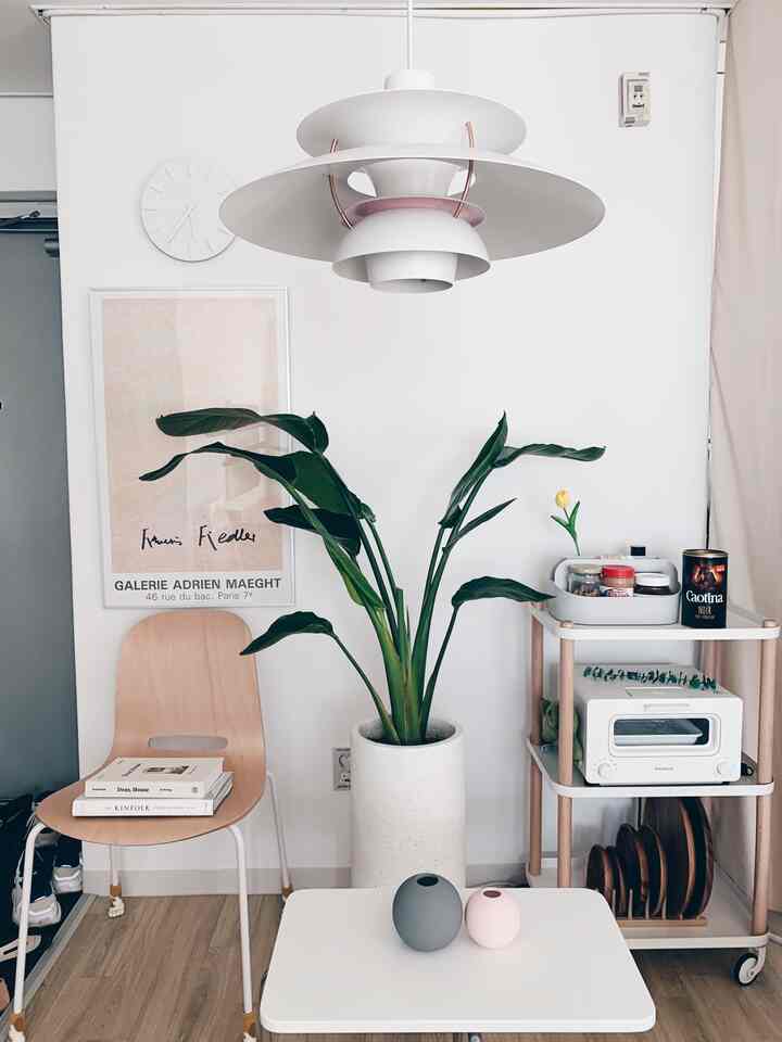 A white and natural tone entrance-adjacent kitchen space featuring fabric room divider, large plant, and kitchen cart in a minimal, tidy setup