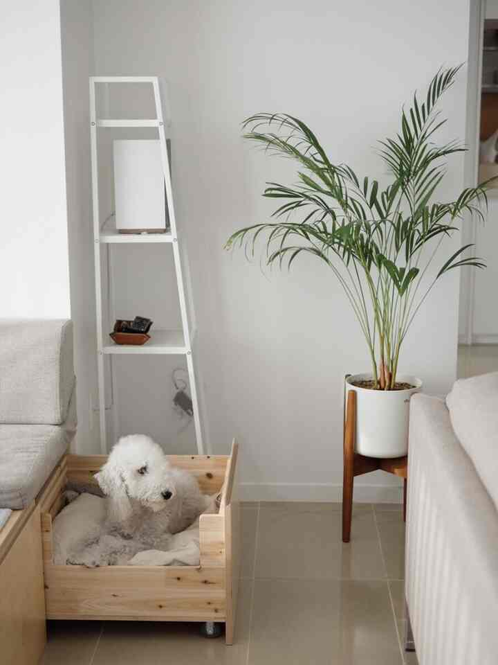 White and natural toned living room featuring a wooden pet house with dog, plant stand, and floor lamp creating a cozy atmosphere