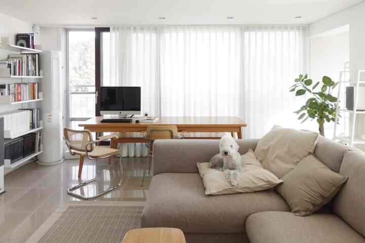 Bright white and beige toned living room featuring a large fabric sofa with a small dog seated on it, creating a cozy natural atmosphere