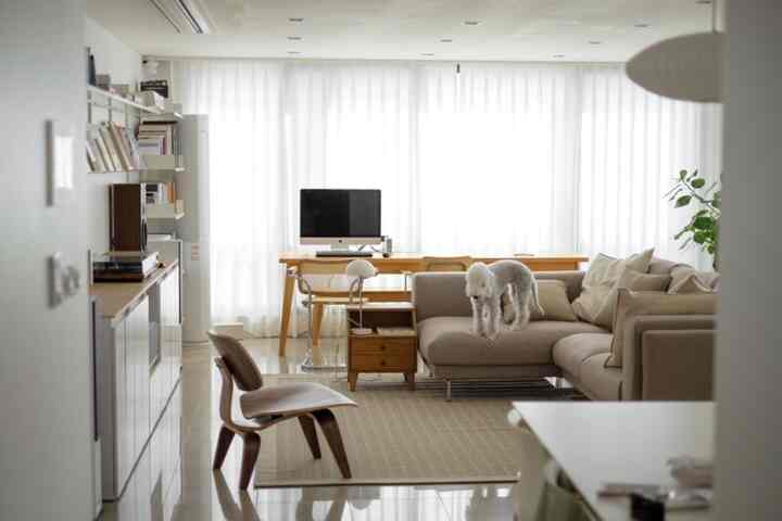 柔らかなベージュと木目調のリビングルーム、コーナーソファとデスク、犬がいる居心地の良いホームオフィス空間