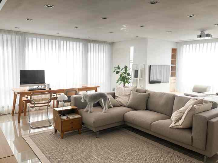 Ivory and beige toned living room featuring a large fabric sofa, wooden desk, and a dog standing on the sofa creating a cozy atmosphere