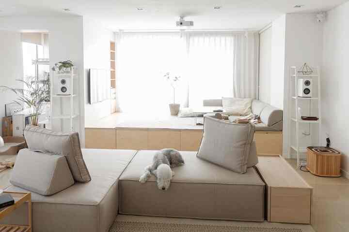 Bright ivory and beige toned living room featuring a fabric sofa with a small dog resting, creating a natural atmosphere