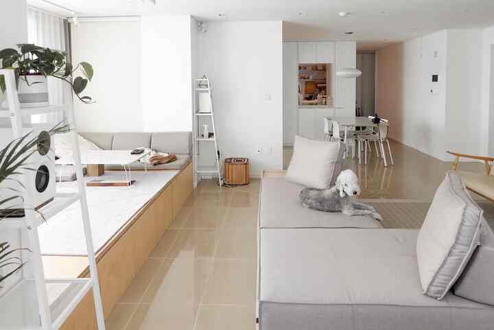 Beige floor and white walls living room featuring a grey fabric sofa and dining table with natural atmosphere