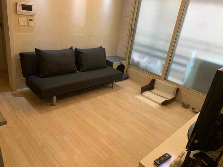 黒いソファベッドと木目調の床があるシンプルなリビング、窓辺にペット用品が配置された印象的な空間