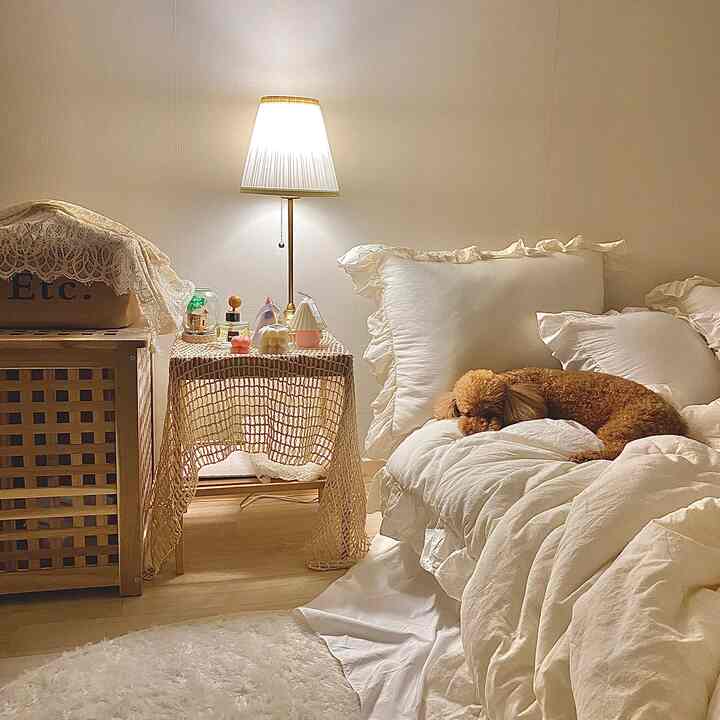 Natural beige and white toned bedroom featuring cozy bedding with a dog lying on the bed