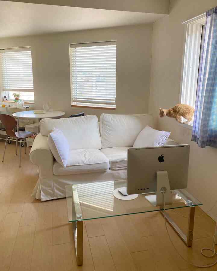 Bright white and natural toned living room featuring a white loveseat sofa, glass desk with computer, and a cat on the window sill