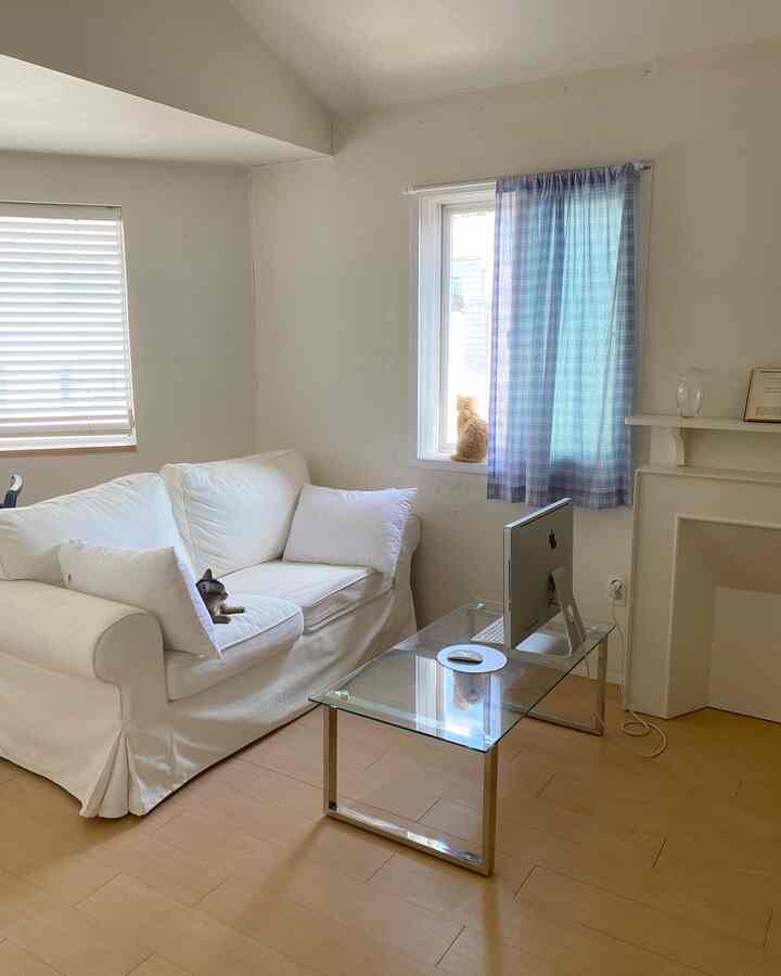 Bright white and wood-tone living room featuring a white sofa, glass table, and cats by the window in a clean home office setting