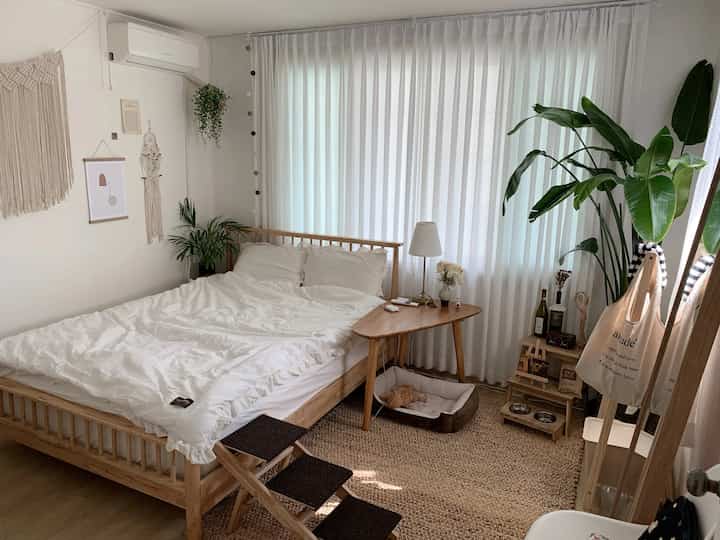 Natural toned bedroom featuring a wooden bed and stools, white curtains, and a cozy pet bed