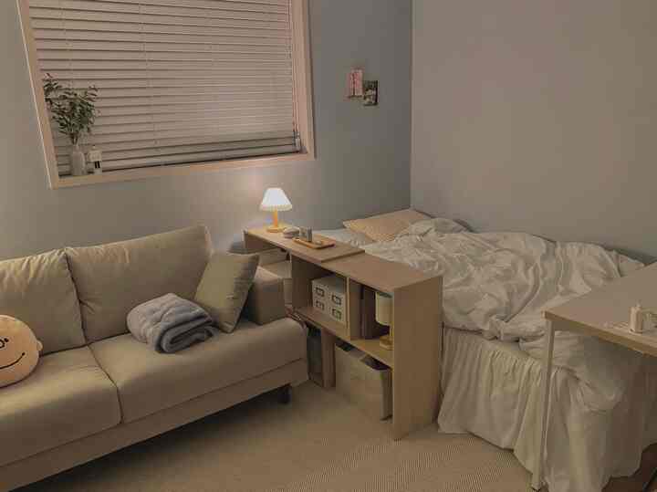 ライトグレーの壁のワンルーム寝室、ベッドスカート付きのベッドとソファ、本棚のパーティションが配された雰囲気のある空間