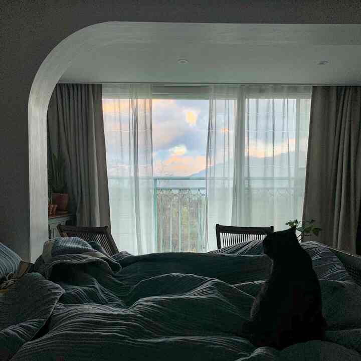 Gray and ivory toned bedroom with arch-shaped wall, lace and blackout curtains on large window, black cat sitting on bed