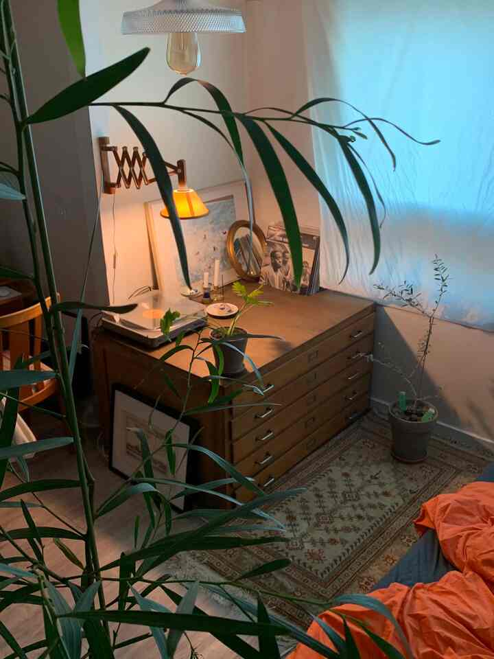 Natural style bedroom space featuring wooden dresser, warm orange lighting, and abundant green plants