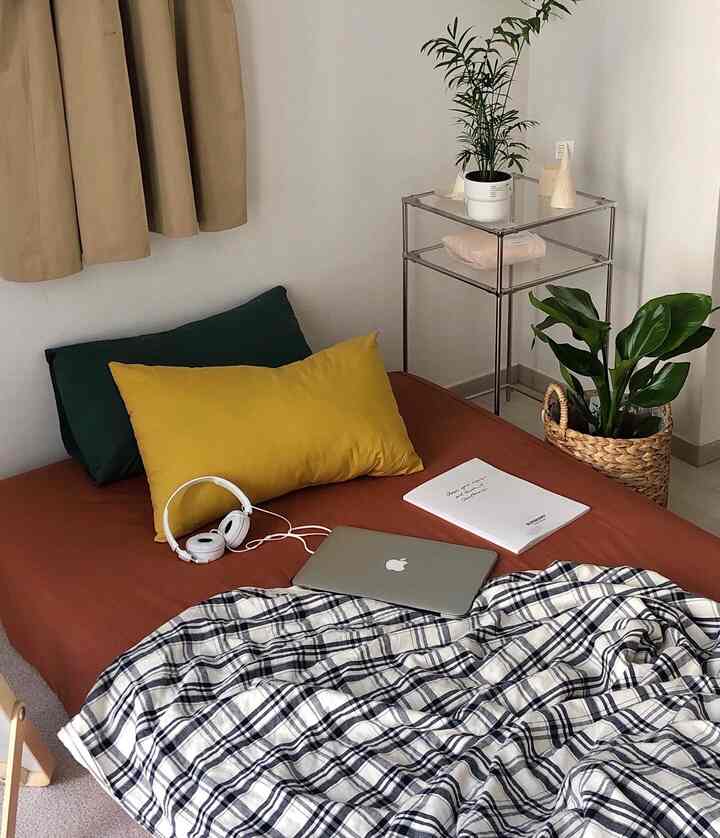 ブラウンの寝具とベージュのカーテンが調和するワンルームの寝室、緑の植物とガラス棚が配置された居心地の良い空間