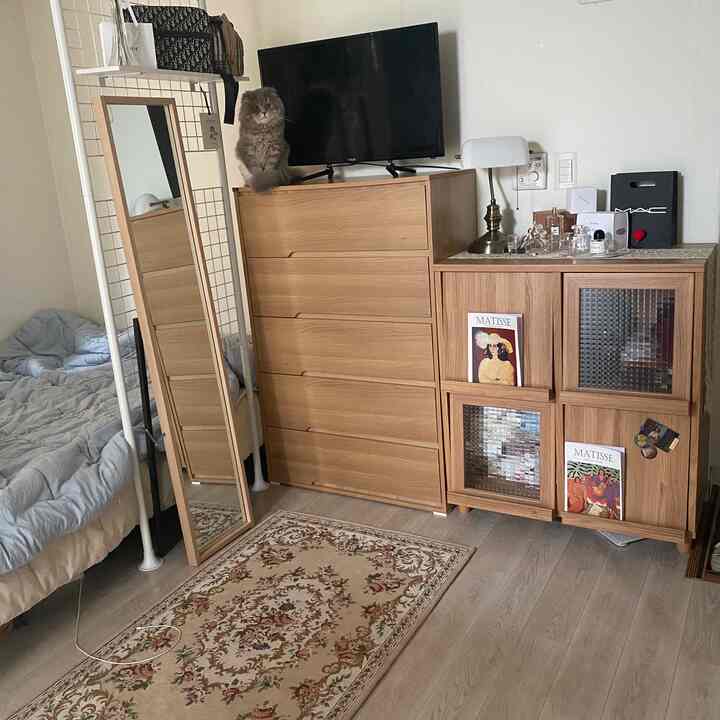 Wood tone vintage style studio bedroom featuring a cat atop a dresser, with cozy floral rug and full-length mirror