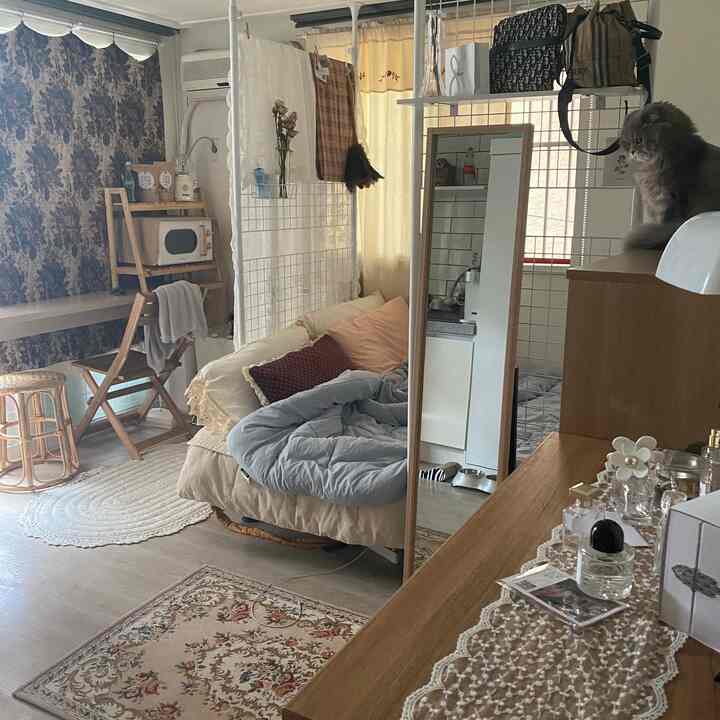 Beige and wood-toned studio apartment featuring sofa, rugs, vintage floral wallpaper, and a cat perched on furniture creating a cozy atmosphere