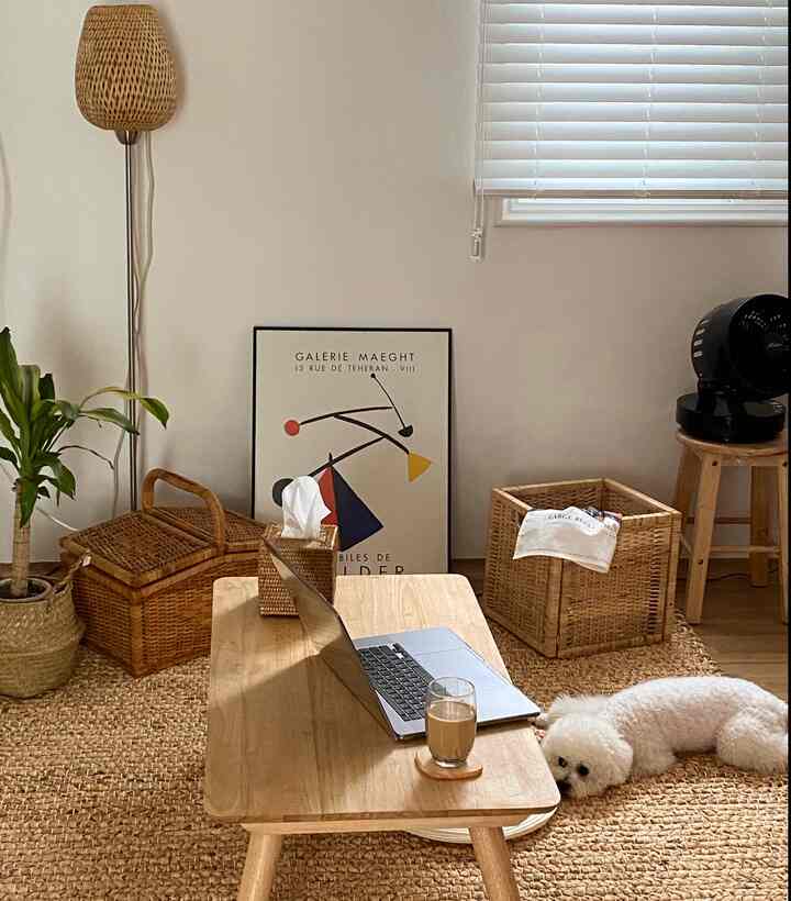 Natural brown toned living room featuring rattan rug, low wooden table, and a dog resting comfortably