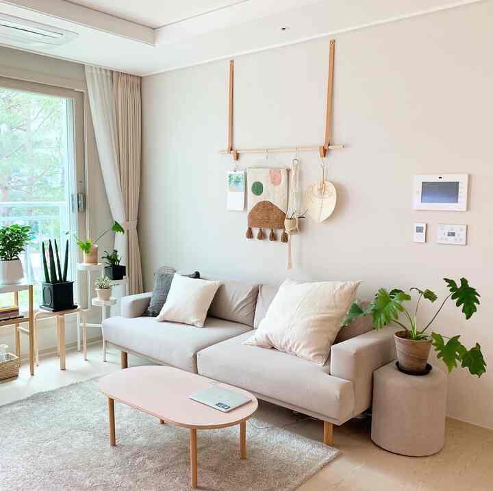 Warm ivory and beige toned living room featuring clean sofa and various plants, creating a natural and cozy atmosphere