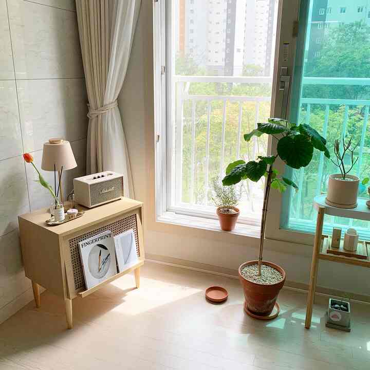 ナチュラルな色調のリビングの窓辺の空間、木製家具と多様な植物が調和した雰囲気のあるインテリア